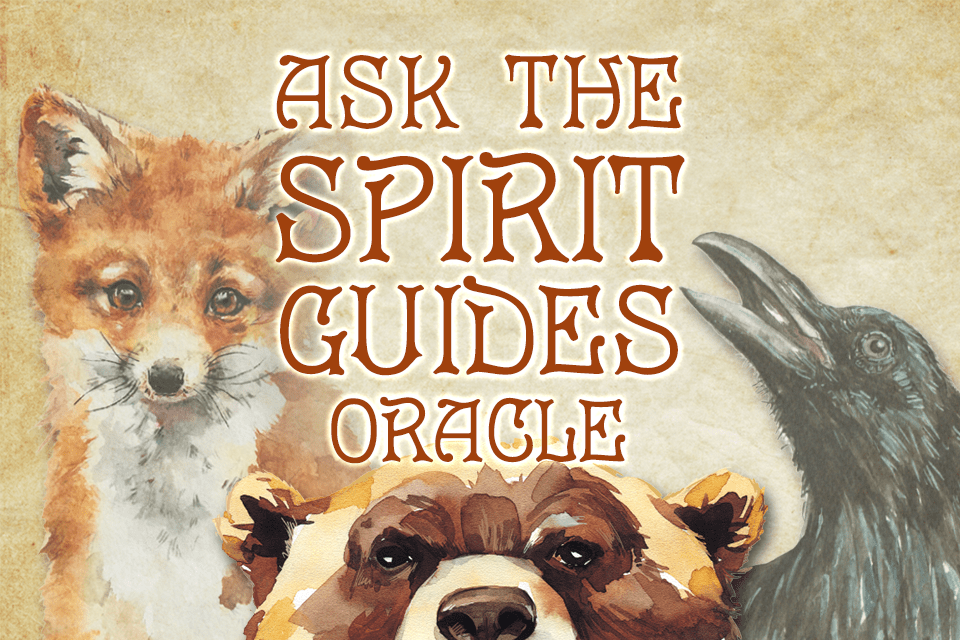 Ask the Spirit Guides