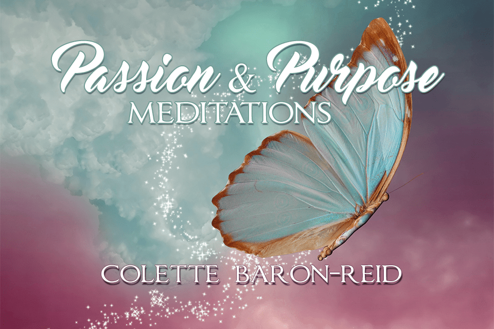 Passion & Purpose Meditations