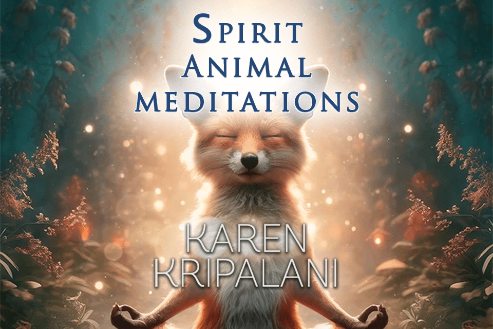 Spirit Animal Meditation Oracle